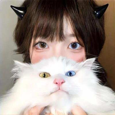 玉面飞狐粤语